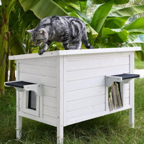 Insulated cedar cat house best sale